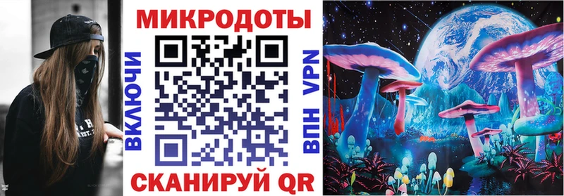 Псилоцибиновые грибы GOLDEN TEACHER  Пошехонье 